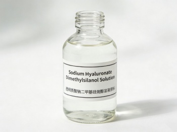 Sodium Hyaluronate Dimethylsilanol Solution